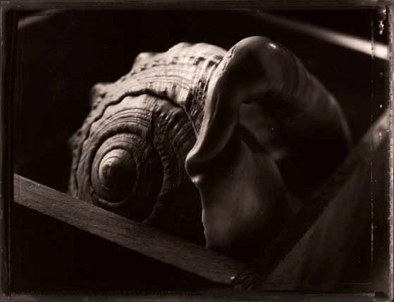 © Richard Spedy
